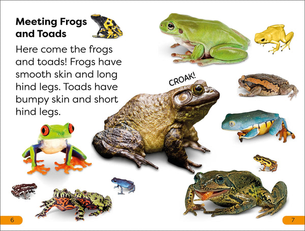 DK Super Readers Level 1 Frogs and Toads - Paperback