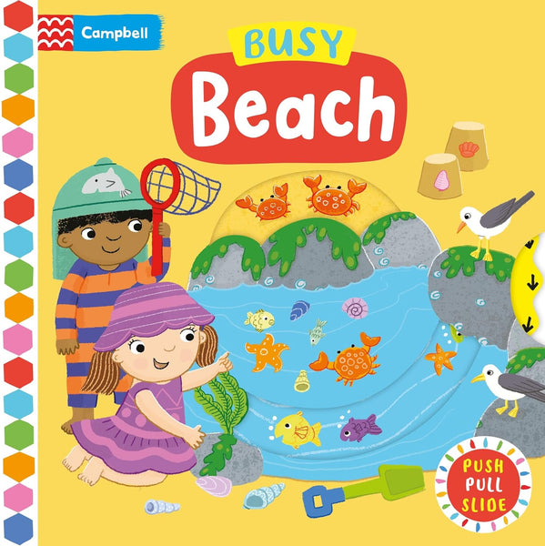 Busy Beach - Board book