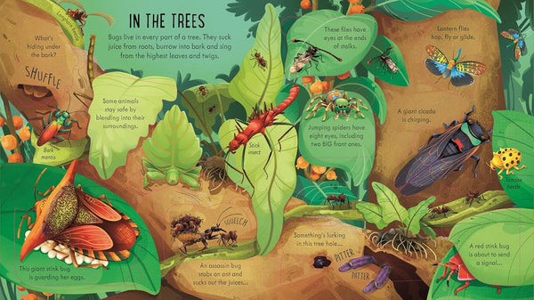 Look Inside Bug World - Board book