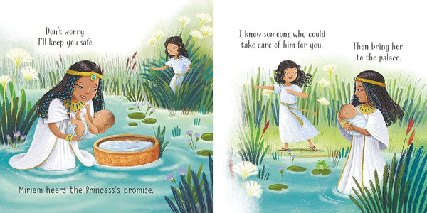 Little Board Books : Moses In The Basket - Board book