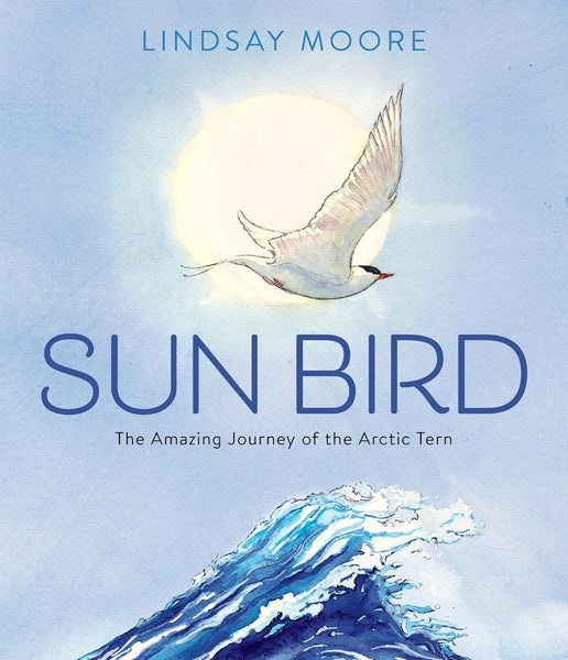 Sun Bird : The Amazing Journey of the Arctic Tern - Hardback