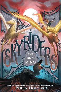 Skyriders #2 The Sky King - Paperback