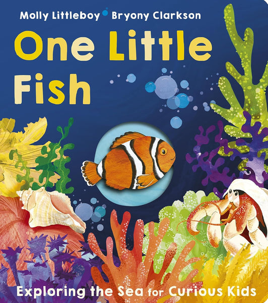 One Little Fish - Board book