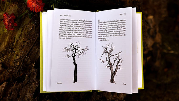 Treepedia: A Brief Compendium Of Arboreal Lore - Hardback