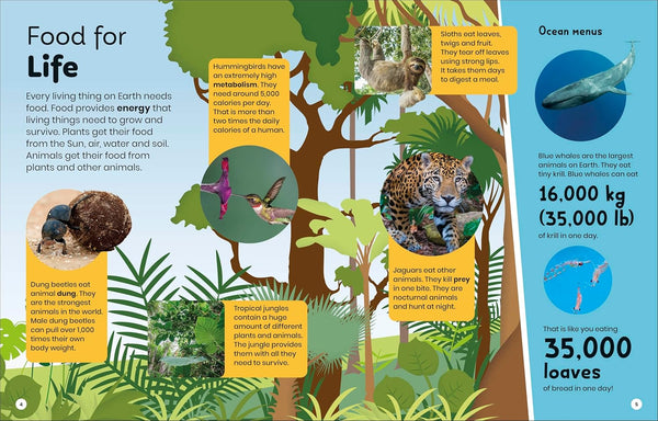 DK Super Planet Who’s Eating Who? - Paperback