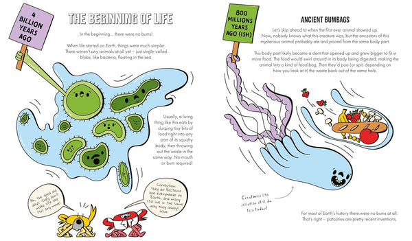 A Natural History of Bums - Hardback