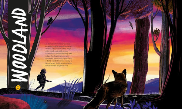 A Wild Child's Book of Nature at Night - Hardback
