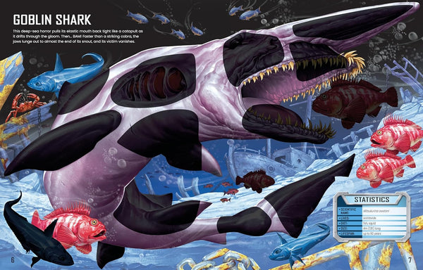 Build Your Own Sharks - Paperback