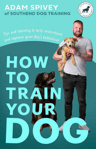 How To Train Your Dog - Paperback