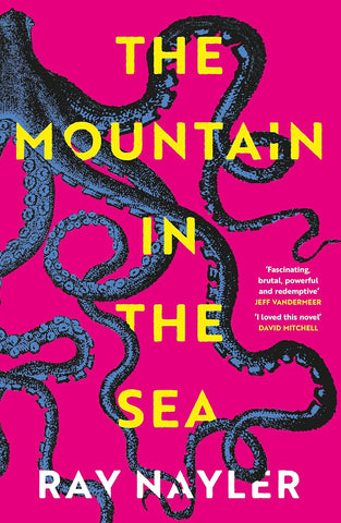 The Mountain In The Sea - Paperback