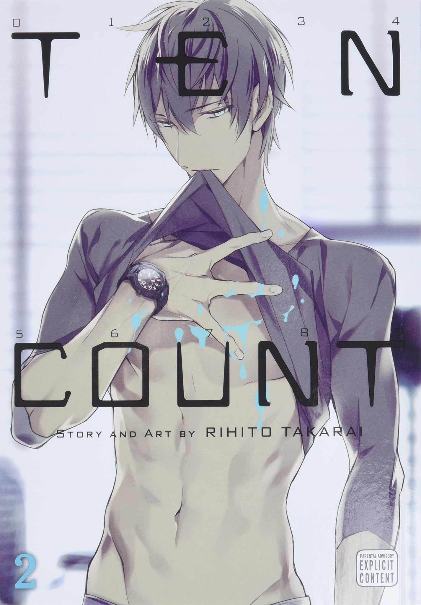 Ten Count #2 - Paperback