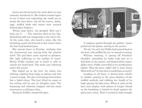 Land of the Last Wildcat - Paperback