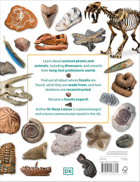 My Book of Fossils - Hardback