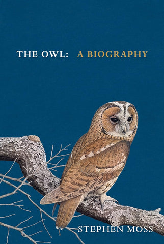 The Owl - Hardback