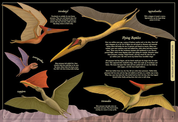 Secret Stories of Lost Beasts - Hardback