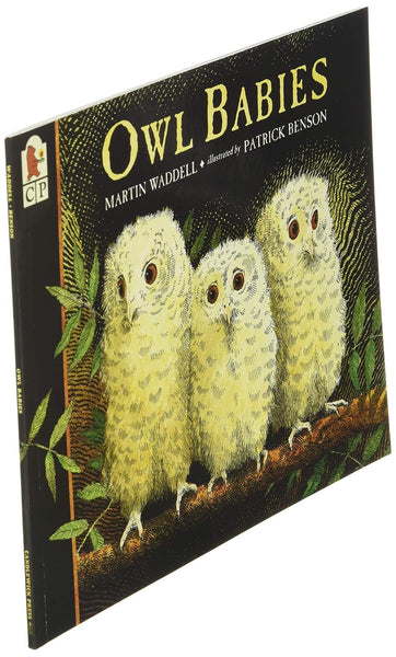 Owl Babies - Paperback
