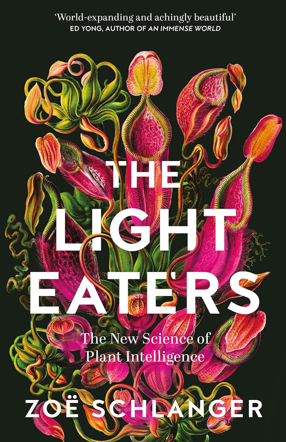 The Light Eaters : The New Science of Plant Intelligence - Paperback