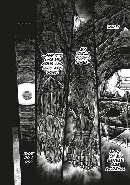 Berserk Deluxe Volume 13 (Berserk Deluxe Edition #13) - Hardback