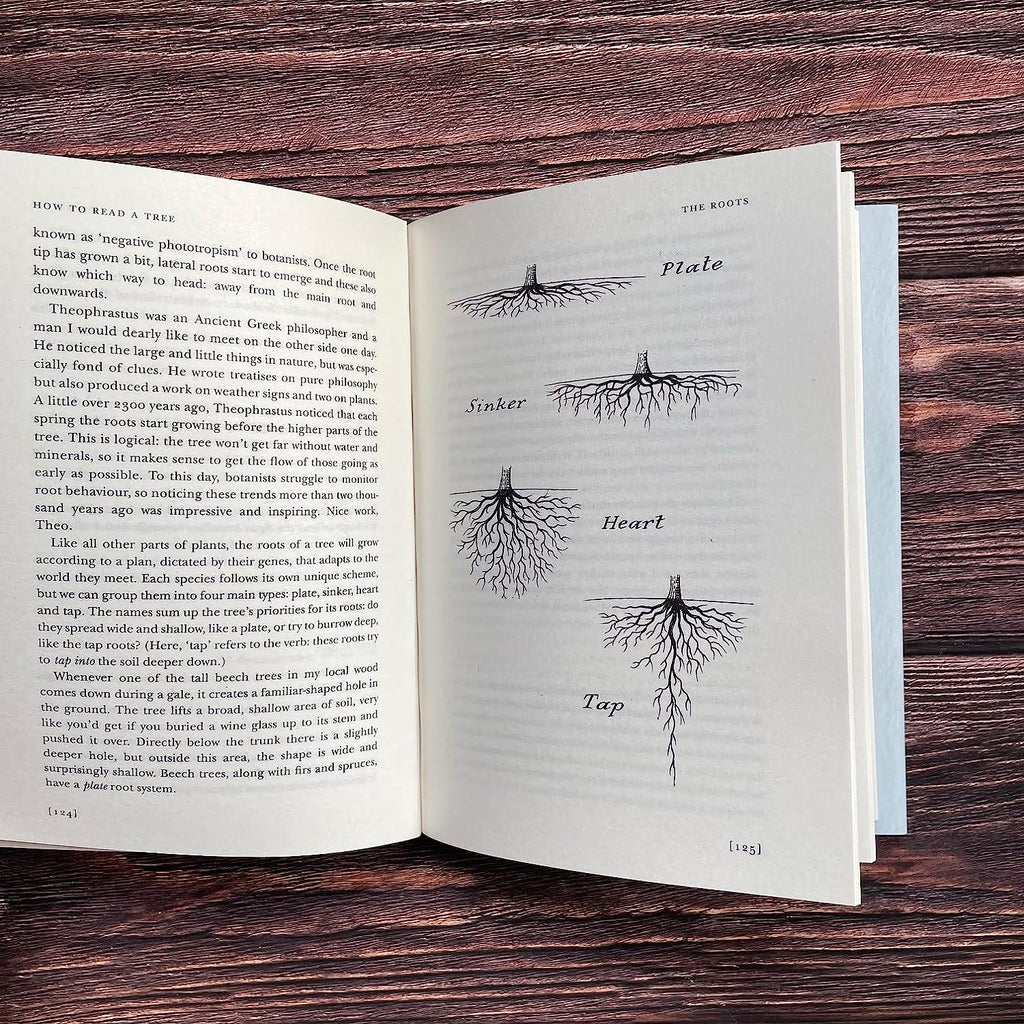 How to Read a Tree: Clues and Patterns from Bark to Leaves - Paperback