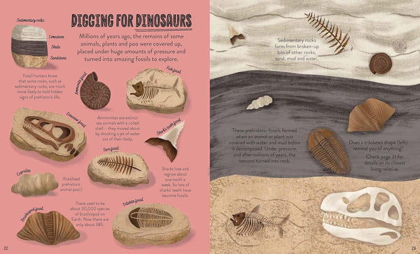 My Nature Collection : Under the Ground - Paperback