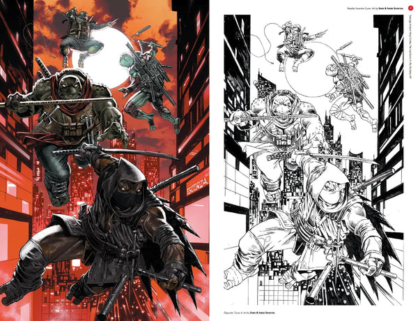 Teenage Mutant Ninja Turtles : The Last Ronin II - Hardback