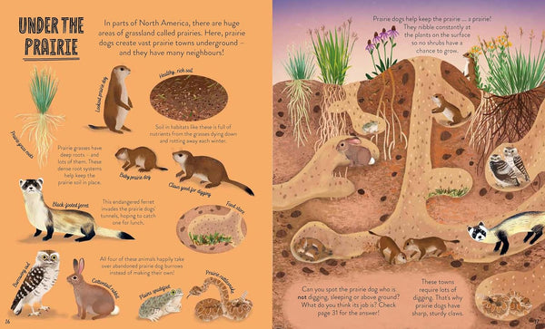 My Nature Collection : Under the Ground - Paperback