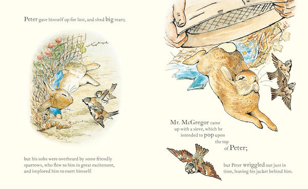 Peter Rabbit : Book and Toy Gift Set - Hardback