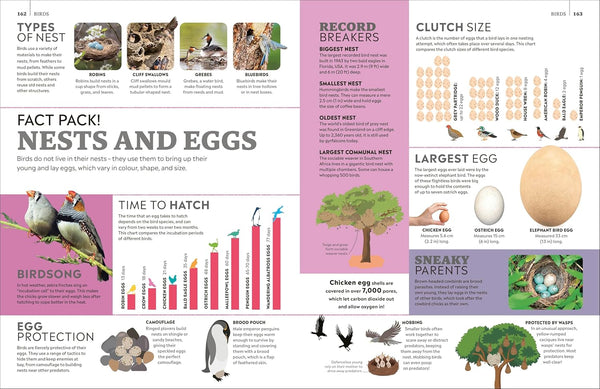 Eyewitness Encyclopedia of Animals - Hardback