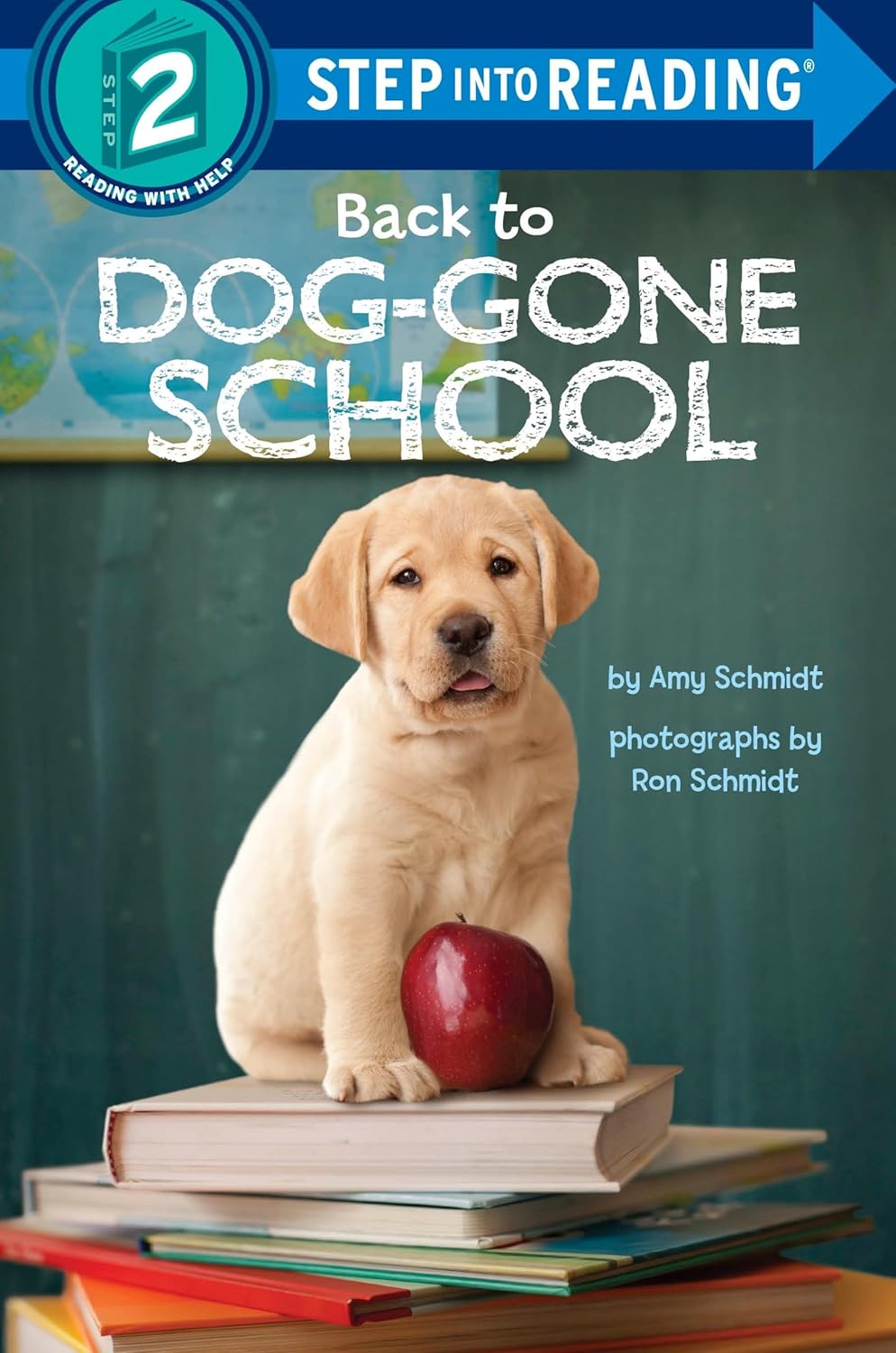 Back to Dog-Gone School - Paperback