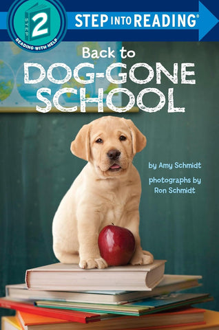 Back to Dog-Gone School - Paperback
