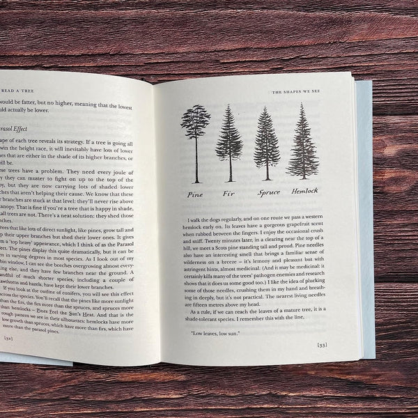 How to Read a Tree: Clues and Patterns from Bark to Leaves - Paperback