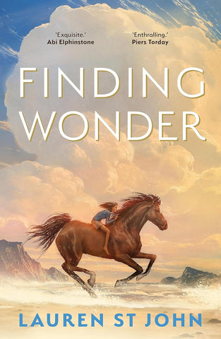 Finding Wonder - Paperback