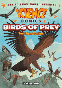 Science Comics: Birds Of Prey: Terrifying Talons - Paperback