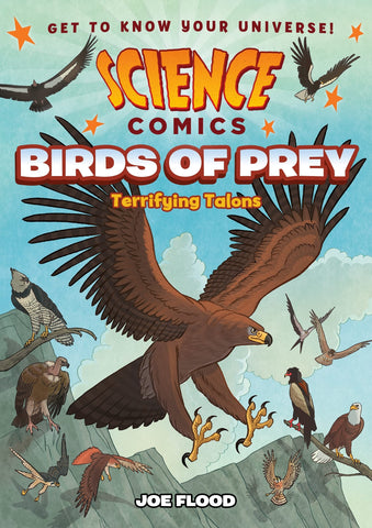 Science Comics: Birds Of Prey: Terrifying Talons - Paperback