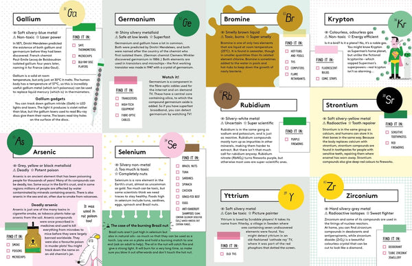 The Element in the Room - Paperback