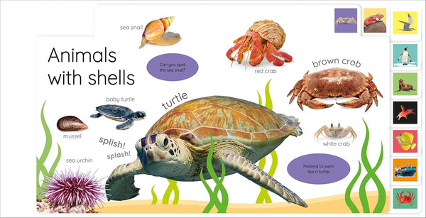My First Ocean - Board Book