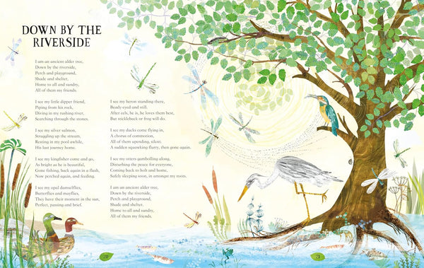 My Heart Was a Tree : Poems and Stories to Celebrate Trees - Paperback