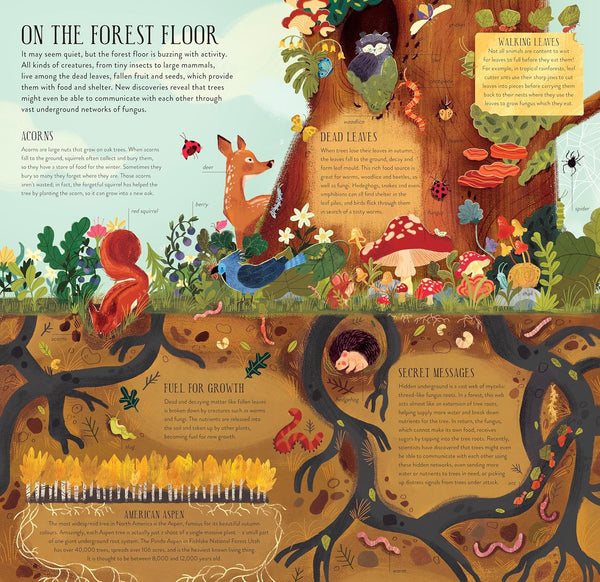 Make and Play : Build A Tree - Hardback