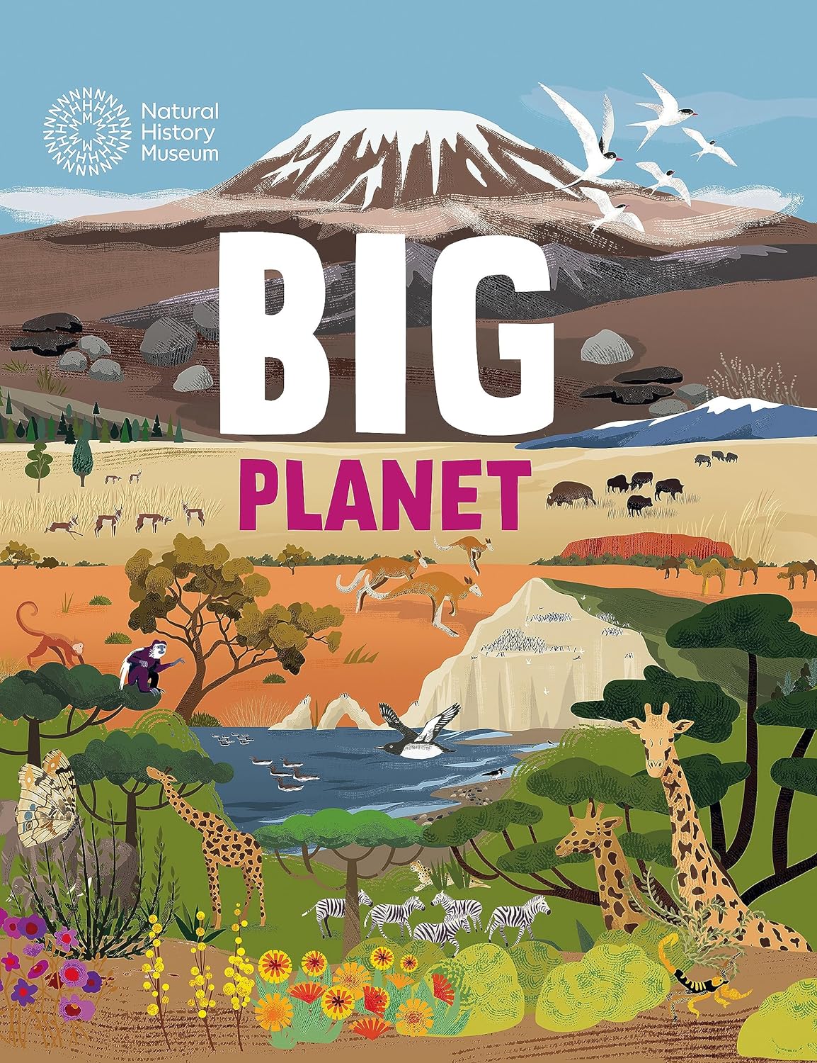 Big Planet - Hardback