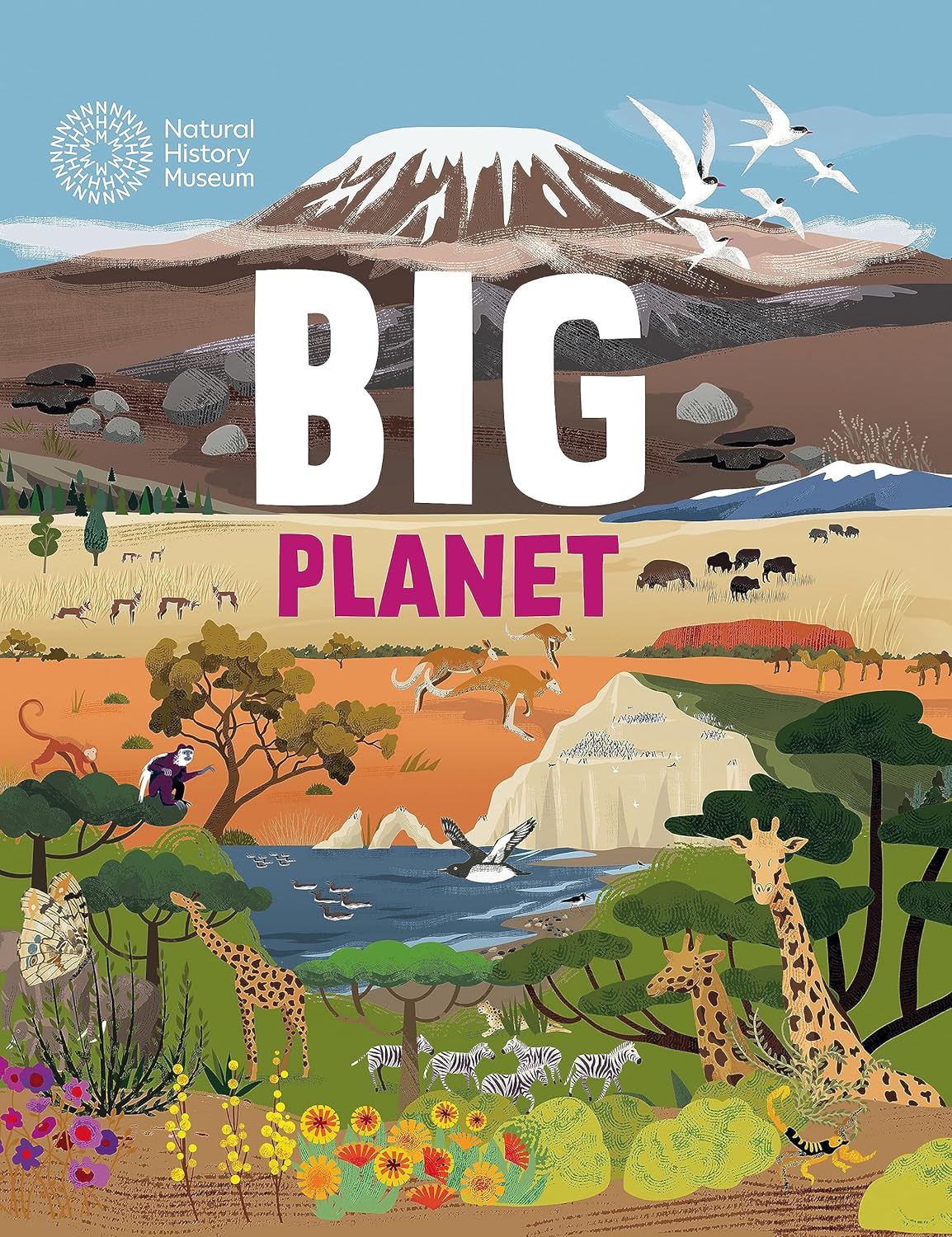 Big Planet - Paperback