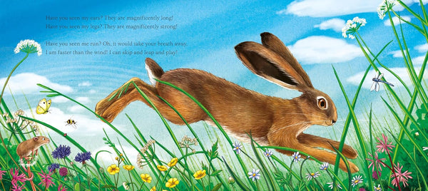 I am Hattie the Hare - Paperback