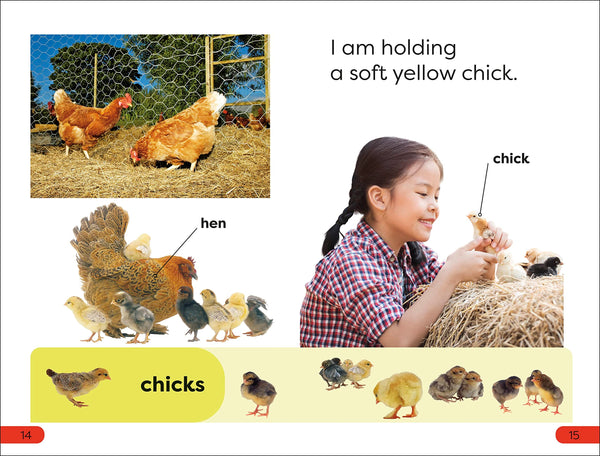 Dk Super Readers Pre-Level A Day At The Petting Zoo - Paperback