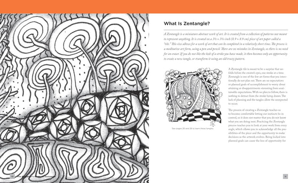 THE BEGINNER`S GUIDE TO ZENTANGLE