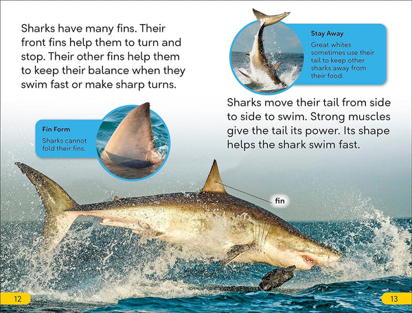 DK Super Readers Level 2 Great White Sharks - Paperback