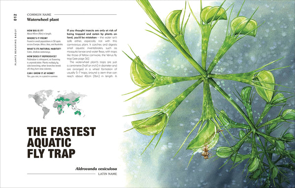 Hortus Curious: Discover The World`S Most Weird And Wonderful Plants And Fungi - Hardback
