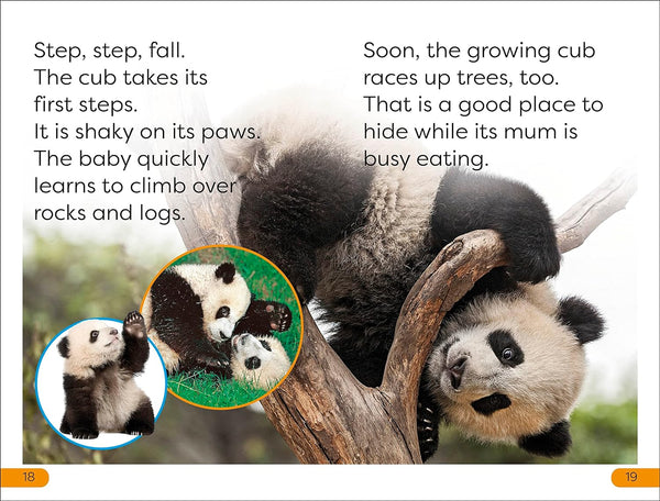 DK Super Readers Level 1 Save the Pandas - Paperback