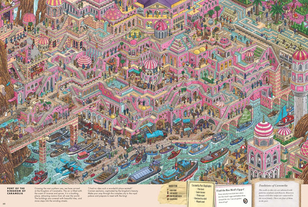 Pierre the Maze Detective : The Hunt for the Maze Pyramid - Hardback