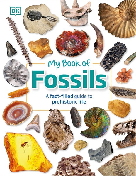 My Book of Fossils - Hardback