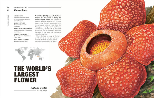 Hortus Curious: Discover The World`S Most Weird And Wonderful Plants And Fungi - Hardback