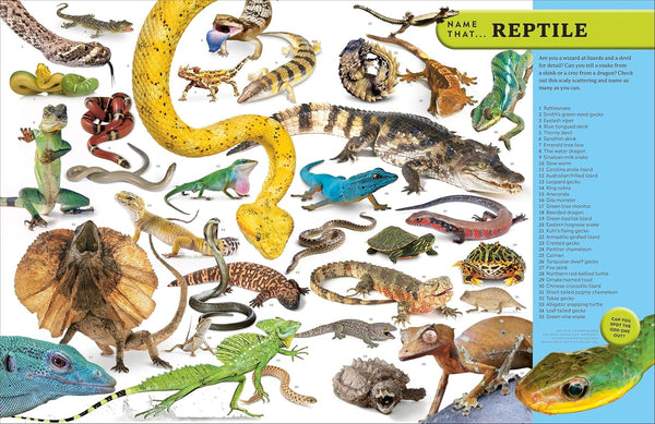 Eyewitness Encyclopedia of Animals - Hardback